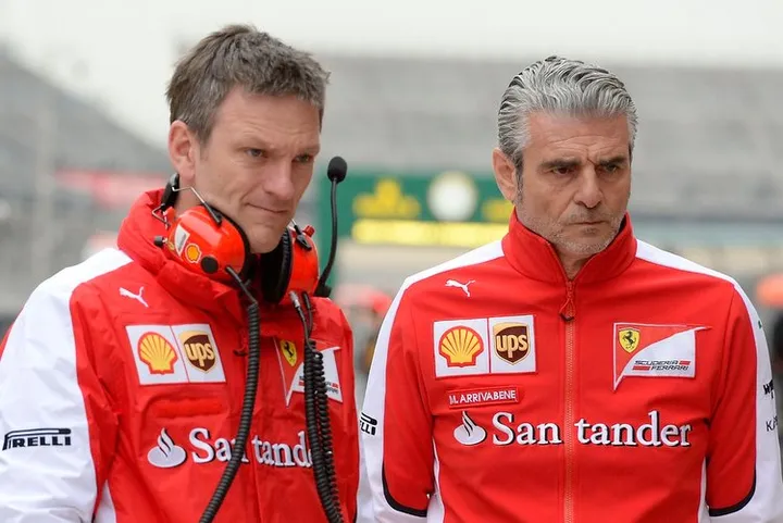 Allison Arrivabene