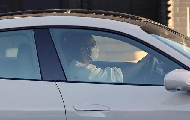 lewis hamilton daily mail