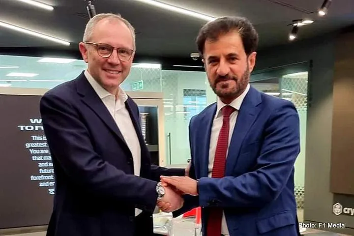 ben sulayem domenicali