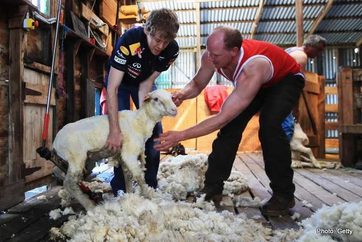 vettel lambs 2022