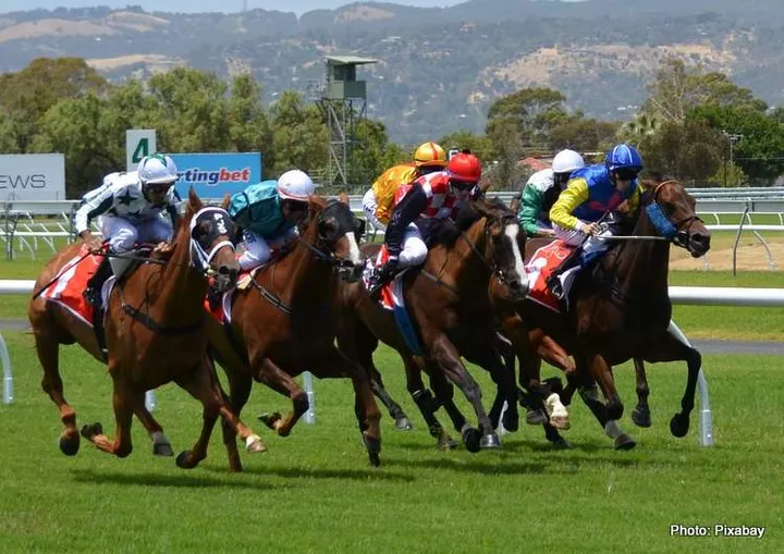 Role of Data Analytics in F1 Racing and Betting horse-racing-358907_1280