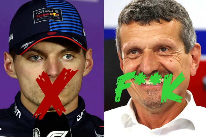 verstappen steiner