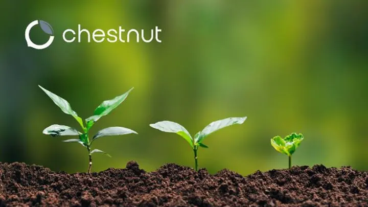 Chestnut Carbon has already planted over 10 million trees