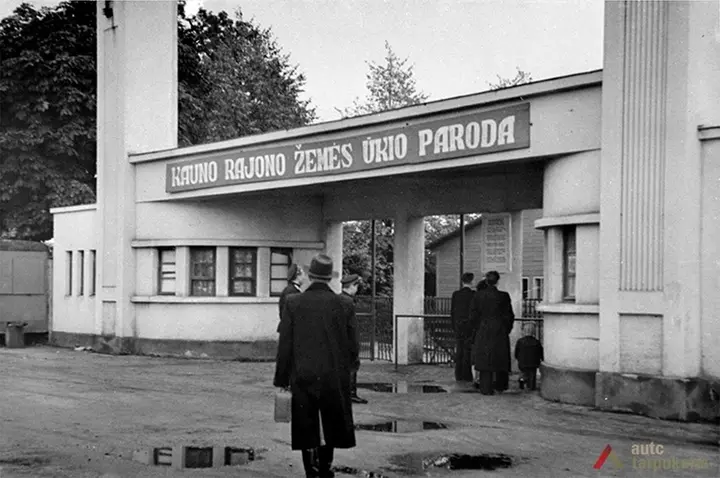 1955