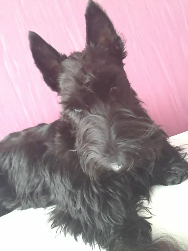 20130414 122501 rotated 1