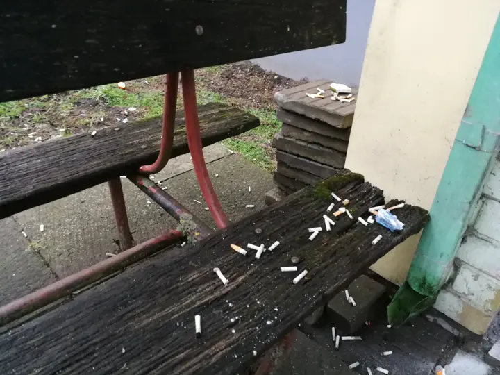 49276787 2230157790348224 6652722750286725120 o