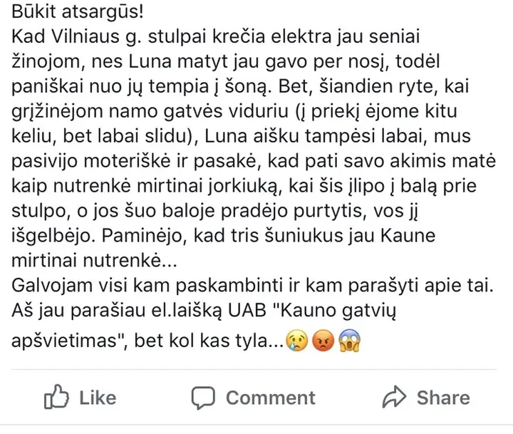 86183852 0159 463f a882 11f8e9e9b1ea 1