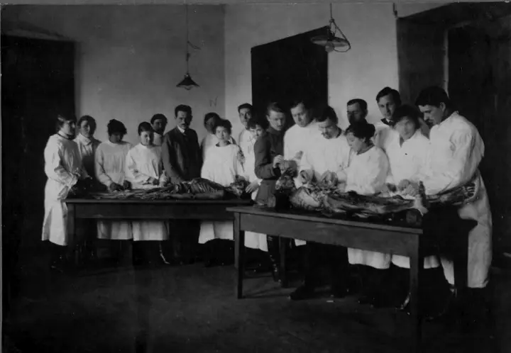 ak ms anatomijos darbai 1921