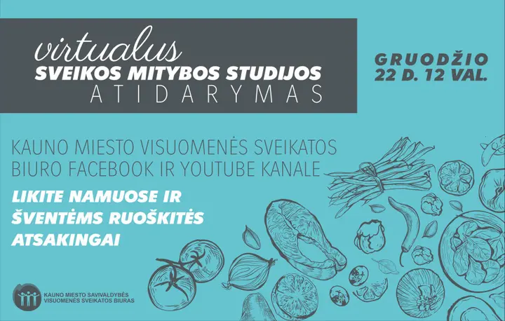 kauno vsb maketas str viduje