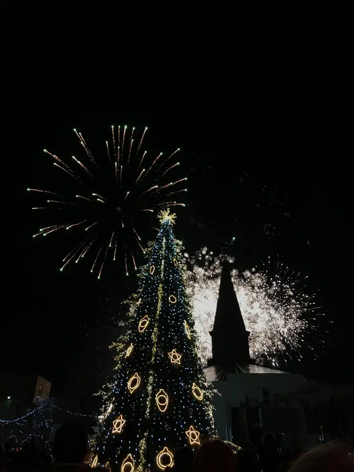 mazeikiu kaledu egle 2018 79825143