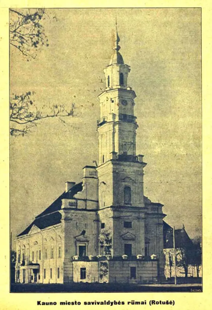 savivaldyb rotu