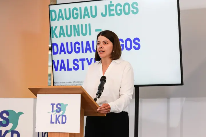 tslkd straipsniui 8