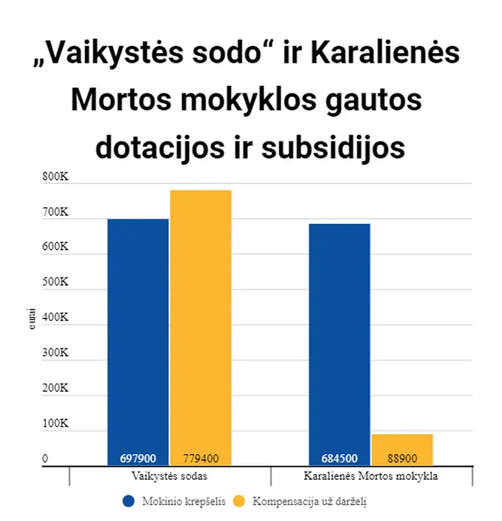 vaikysts sodo ir karaliens mortos mokyklos gautos dotacijos ir subsidijos