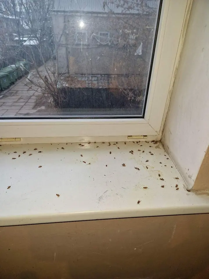 8bee09e3d8e0b1ade25fb8e703a6a020 rotated
