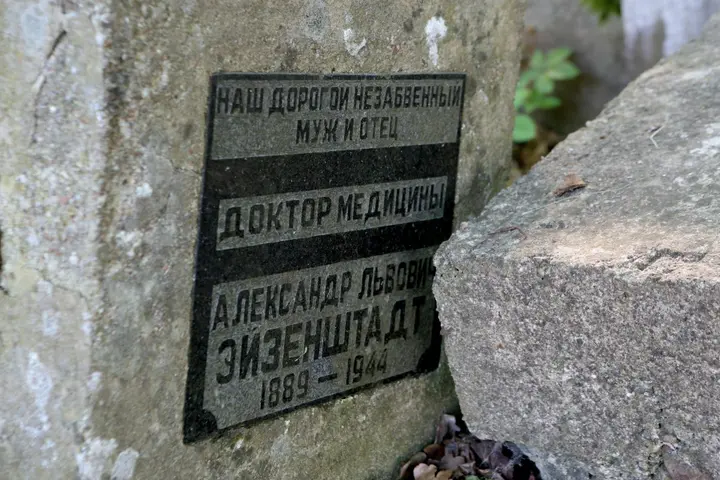 9556119
