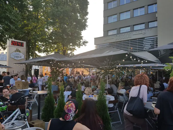 aludari diena str viduje 2018
