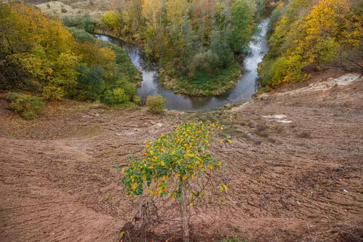 kvk 0031 1