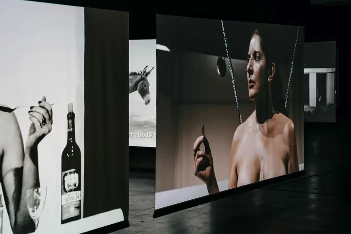 marinos abramovic paroda martynas plepysjp