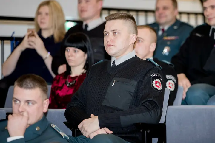 rokas laukutis 87352619
