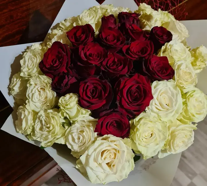 rozes