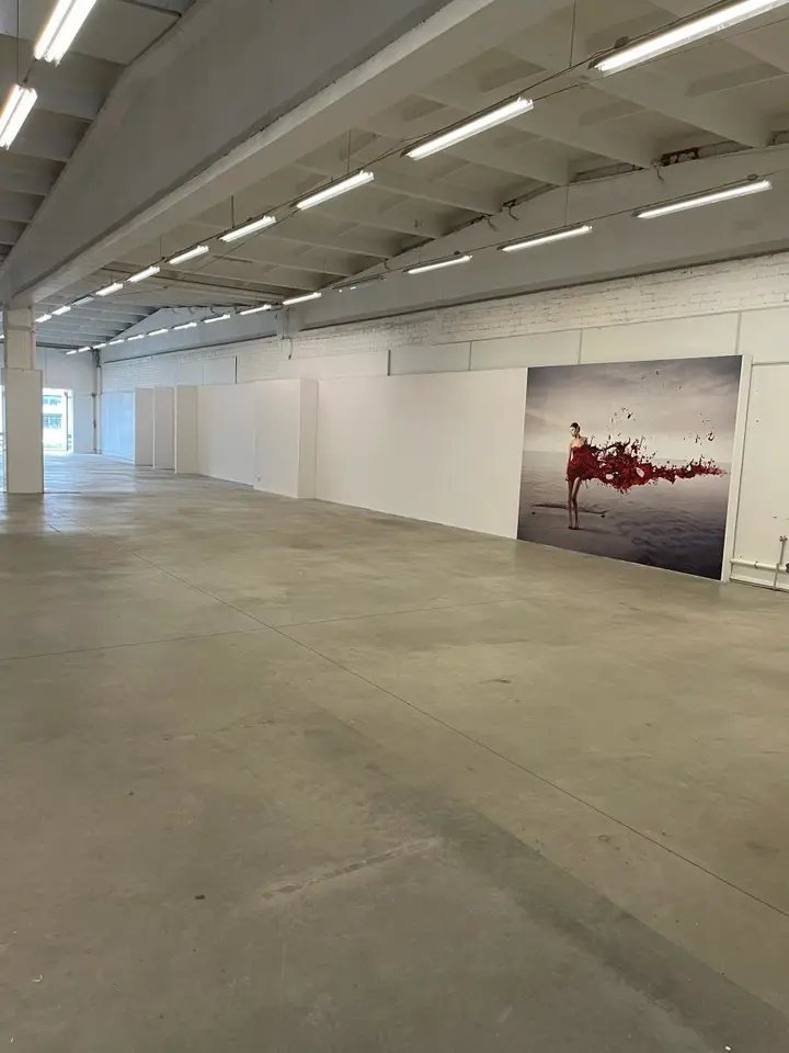 zalioji galerija pop up