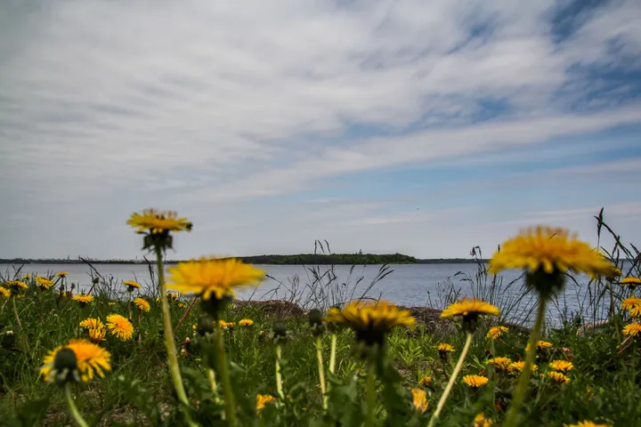 Pakalniškių piliakalnio grožis