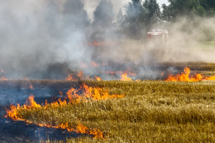 Žolės deginimas / R. Tenio nuotr.