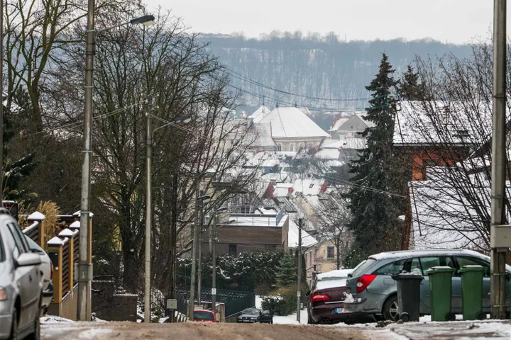 Pelėdų kalnas