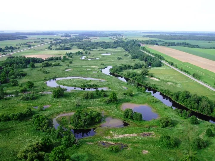  Nevėžio upės slėnio (senvagių) takas Krekenavos regioniniame parke