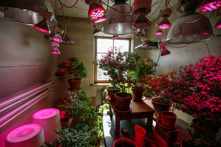 Kauno Harė Krišna šventykla