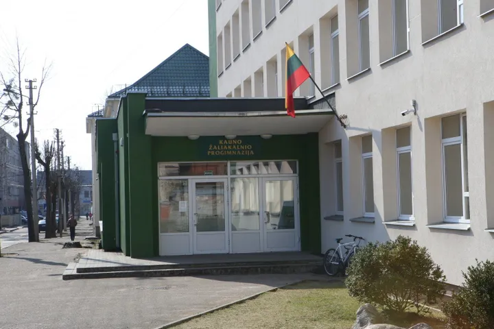 zaliakalnio progimnazija kaune 77698315