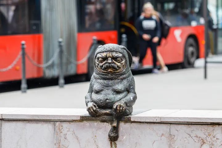 Zen triušis