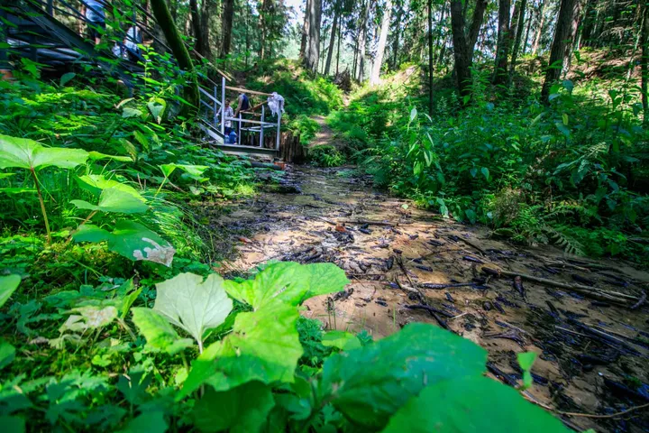 Didysis Lekėčių šaltinis