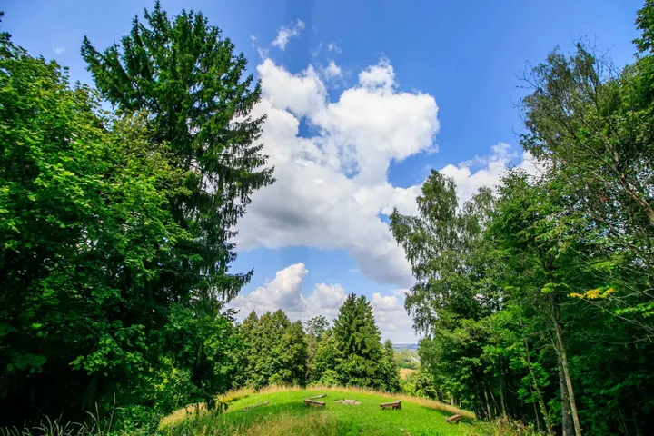 Altoniškių piliakalnis
