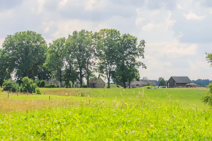 Altoniškių piliakalnis