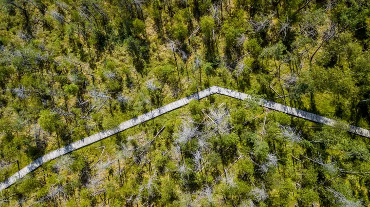 Dubravos rezervatinės apyrubės pažintinis takas