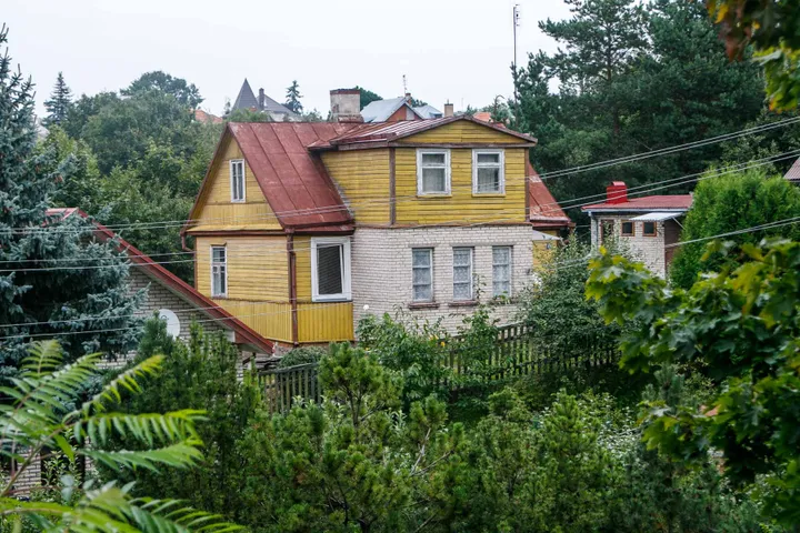 Žaliakalnio „Brazilka“ ir „Argentinka“