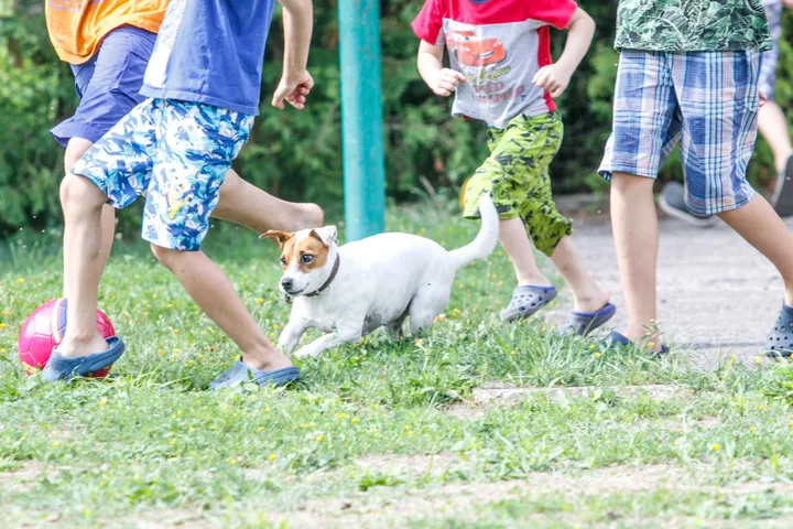 Audronės šeimyna