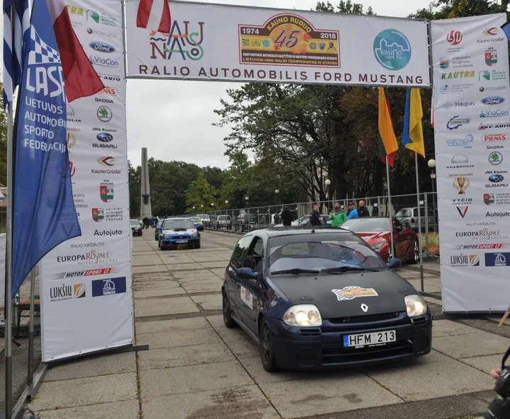 ralis straipsnio viduje