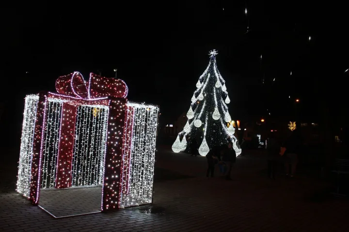 Kretingos Kalėdų eglė