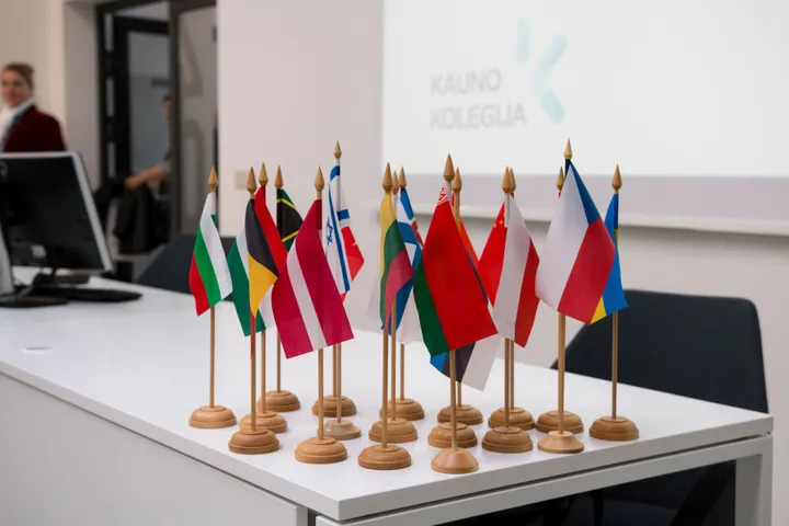 kolegija str viduje antra