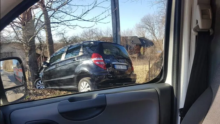 vaidoto g
