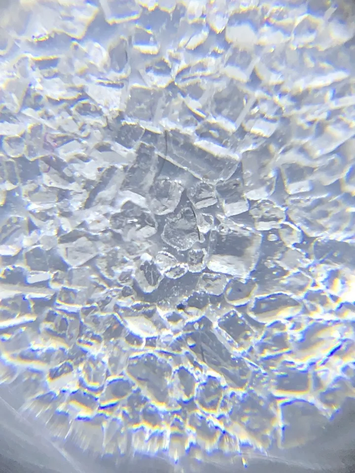 macrotectured implants surface 1 1