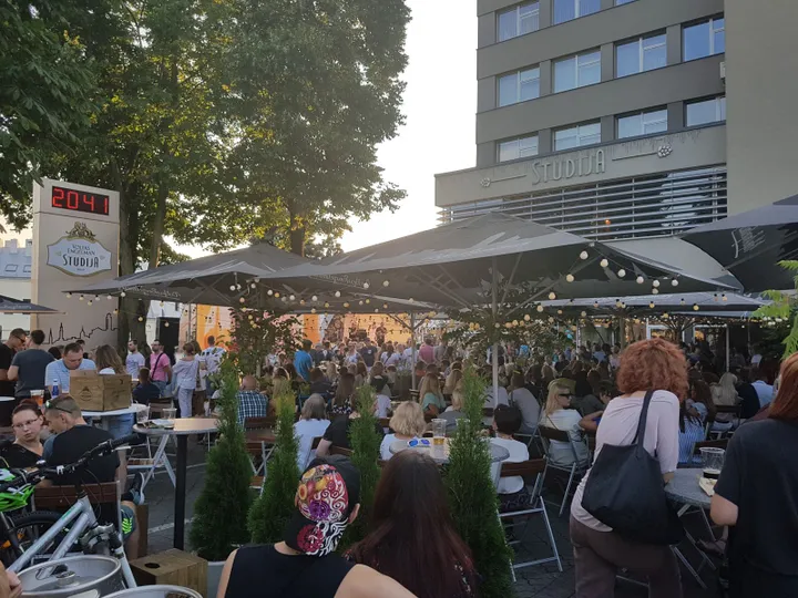 aludari diena str viduje 2018