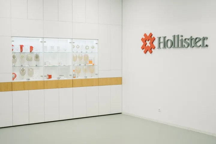 hollister gamykla vidus