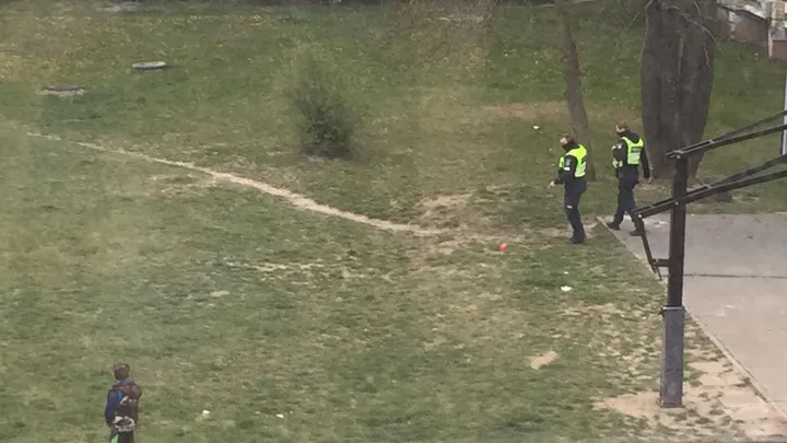 policijos pareignai ilainiuose