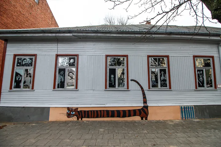 KVK_6332