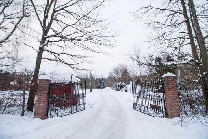 Planuojama stovėjimo aikštelė Ąžuolyno parke