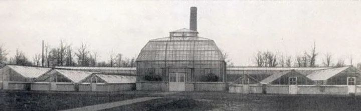 oranzerija1930