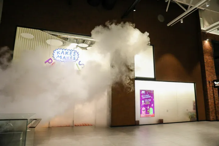 Dezinfekcinis rūkas / Organizatorių nuotr.